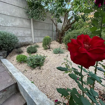 Des Coteaux Sezannais شقة