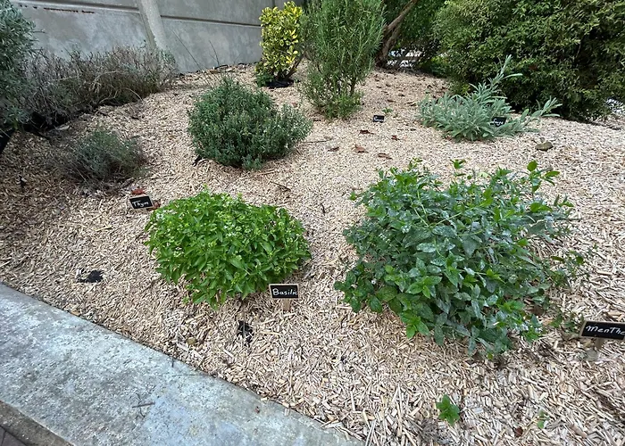 דירה Des Coteaux Sezannais *