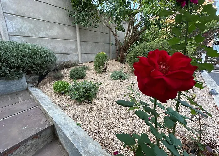 Des Coteaux Sezannais דירה