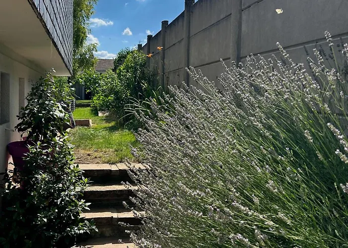 Des Coteaux Sezannais דירה Sézanne